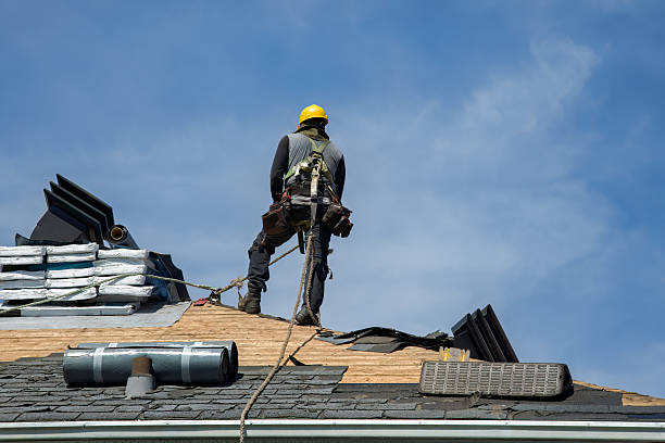 Professional Storm Damage Roof Repair technician working in Holiday, FL